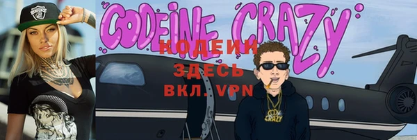 шишки Вяземский