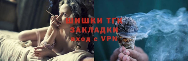 шишки Вяземский