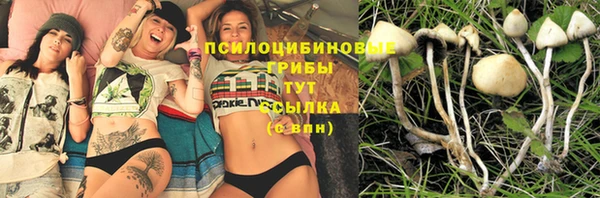 шишки Вяземский