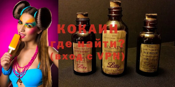 шишки Вяземский