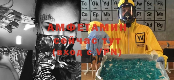 шишки Вяземский