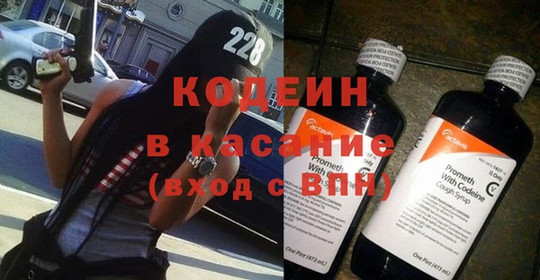 шишки Вяземский