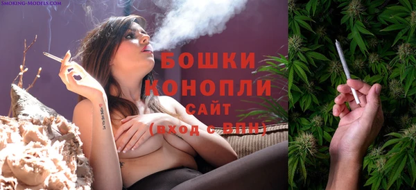 ALPHA PVP Горняк
