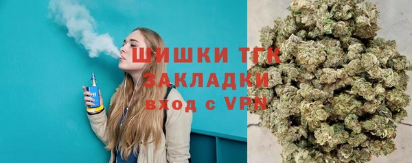 шишки Вяземский