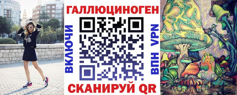 Купить  Мураши  Псилоцибиновые грибы Psilocybe 