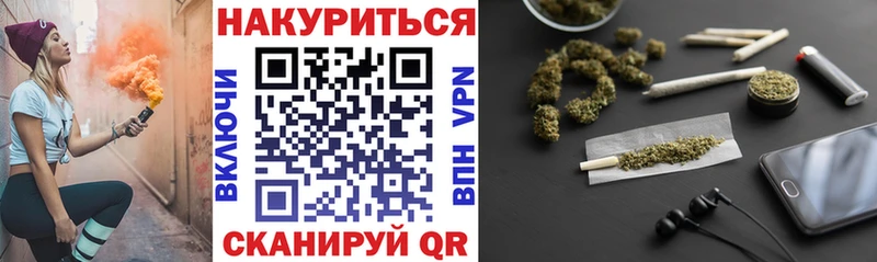 Купить  Мураши  Каннабис гибрид 
